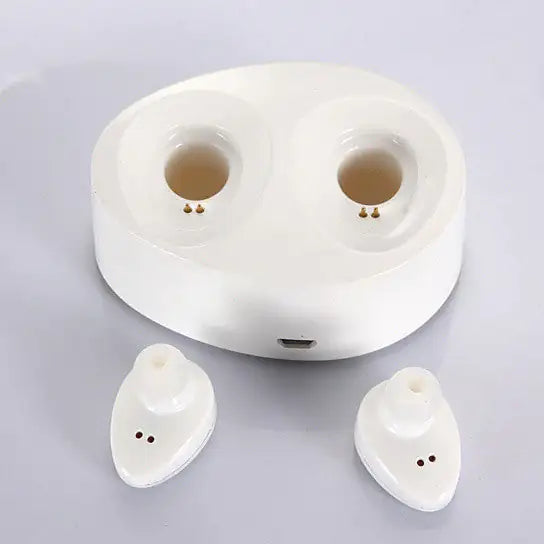 Wireless Earbuds With Storage Case And Charger